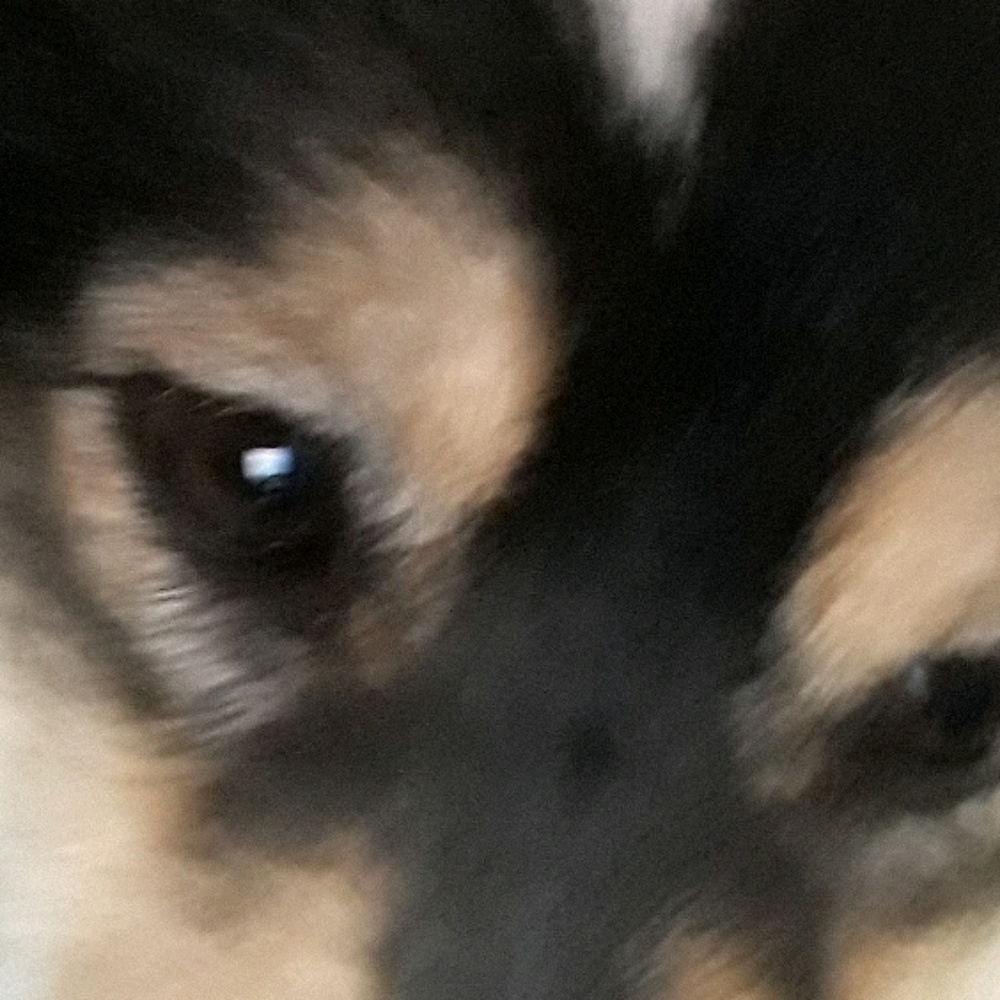 Meet your Posher, Yvonne